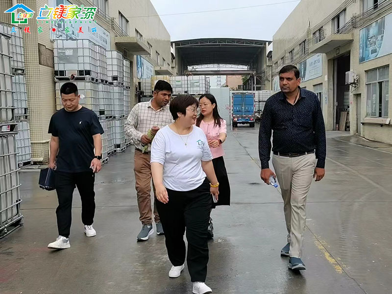 2024立镁家涂料印度友商1